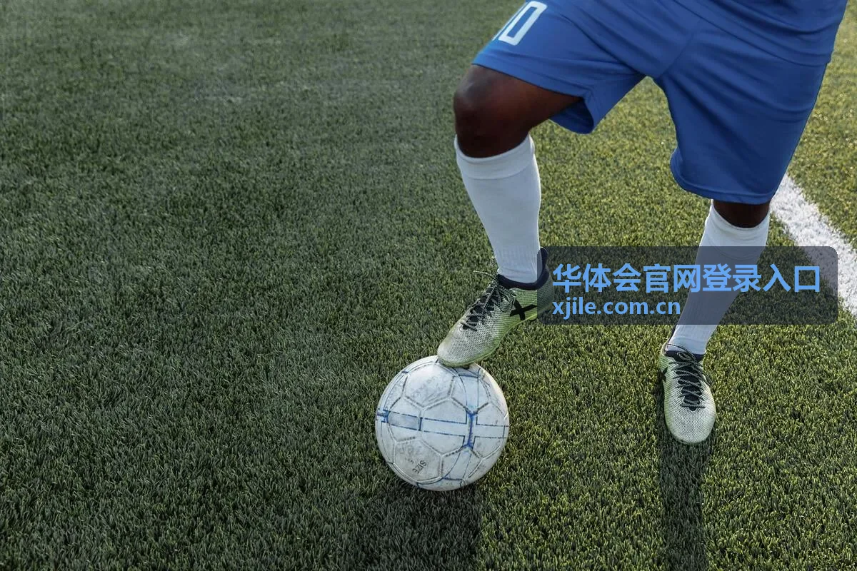 华体会官网登录入口封面图