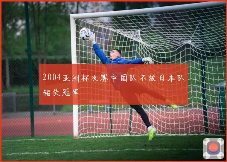 2004亚洲杯决赛中国队不敌日本队错失冠军