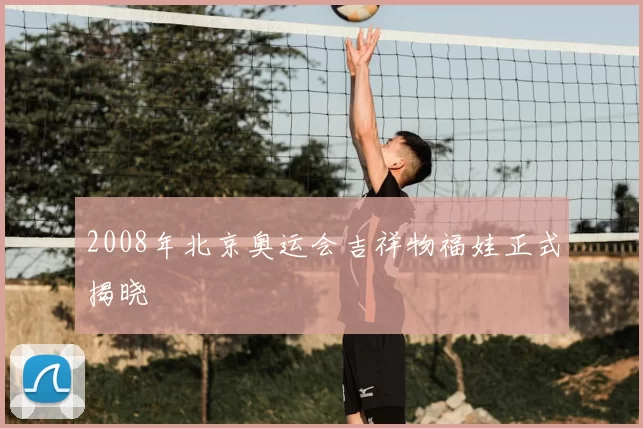 2008年北京奥运会吉祥物福娃正式揭晓