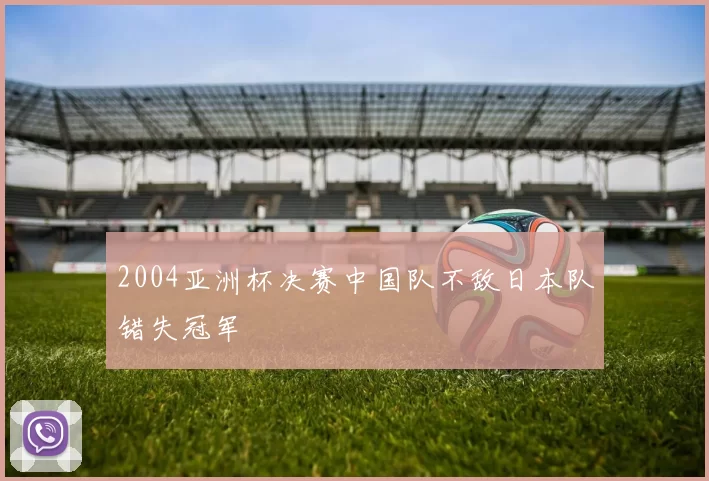 2004亚洲杯决赛中国队不敌日本队错失冠军